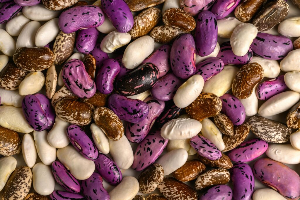 A detailed close-up of colorful assorted beans, showcasing textures and colors.